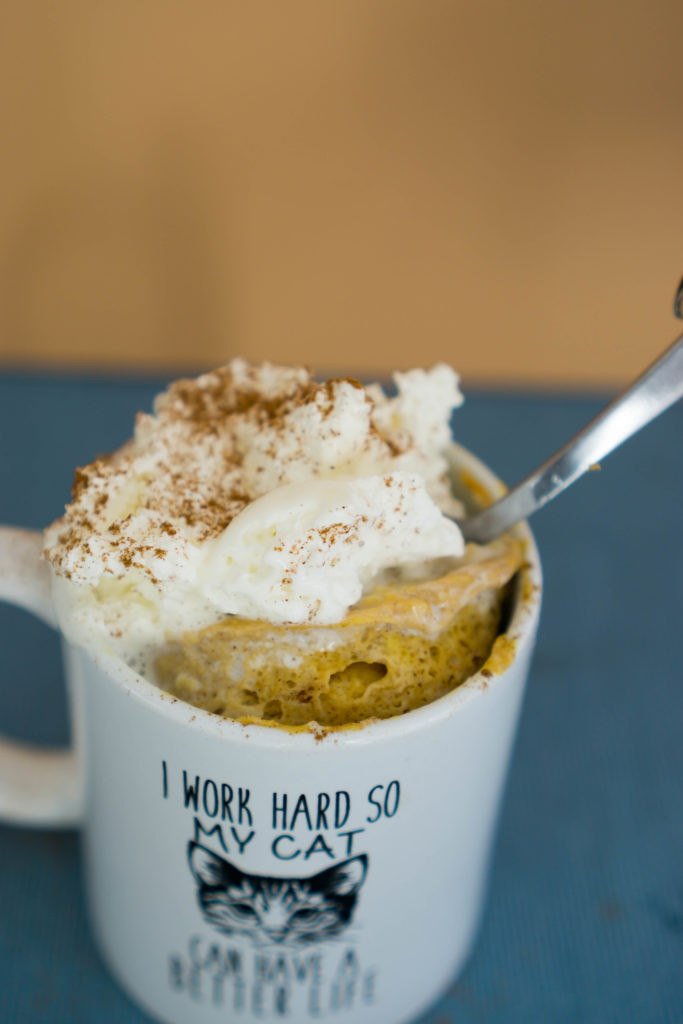 Keto Connect Mug Cake
 Pumpkin Mug Cake KetoConnect