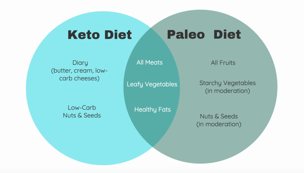 Keto Paleo Diet
 Paleo vs keto which t is better