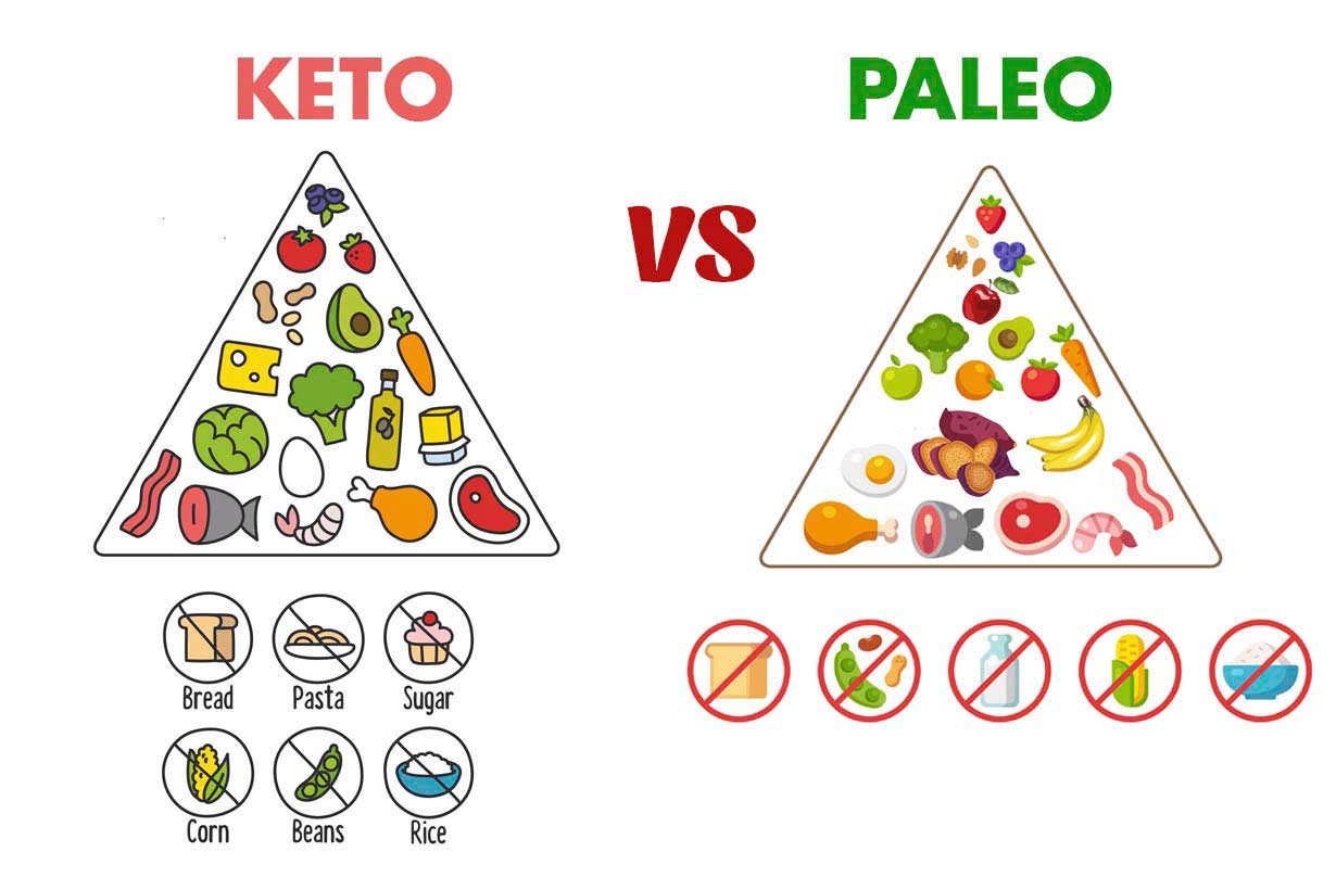 Keto Paleo Diet
 Keto vs Paleo How Do These Popular Diets pare