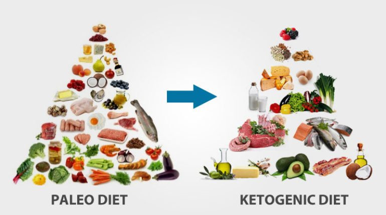 Keto Paleo Diet
 All you need to know about the Paleo and Ketogenic Diets