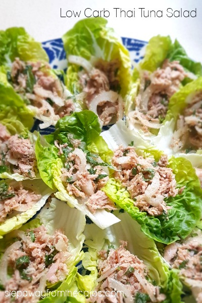 Low Carb Tuna Recipes
 Low Carb Thai Tuna Salad Step Away From The Carbs