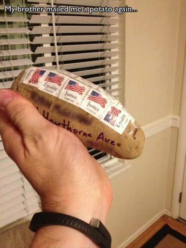 Mail A Potato
 funny things to mail Dump A Day