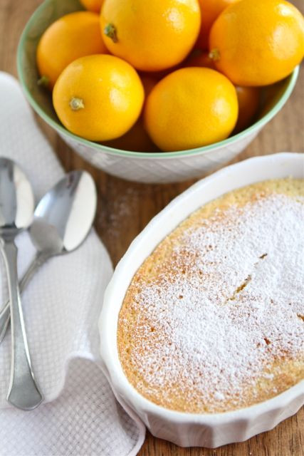 Meyer Lemon Dessert Recipe
 Meyer Lemon Pudding Cake Recipe