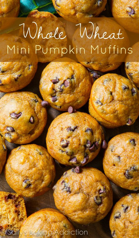 Mini Chocolate Chip Muffins
 Whole Wheat Mini Pumpkin Muffins Sallys Baking Addiction