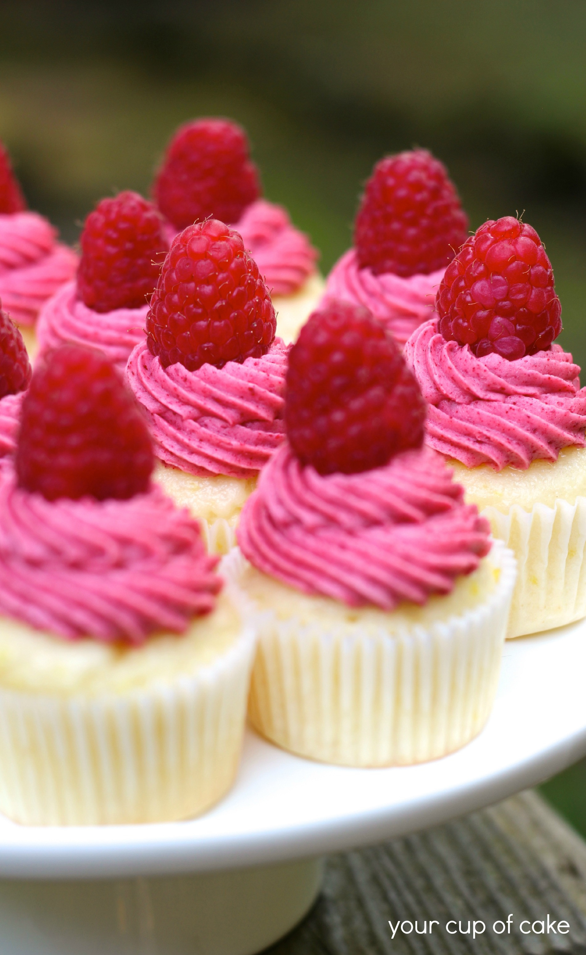 Mini Cupcakes Recipe
 Raspberry Lemonade Mini Cupcakes Your Cup of Cake
