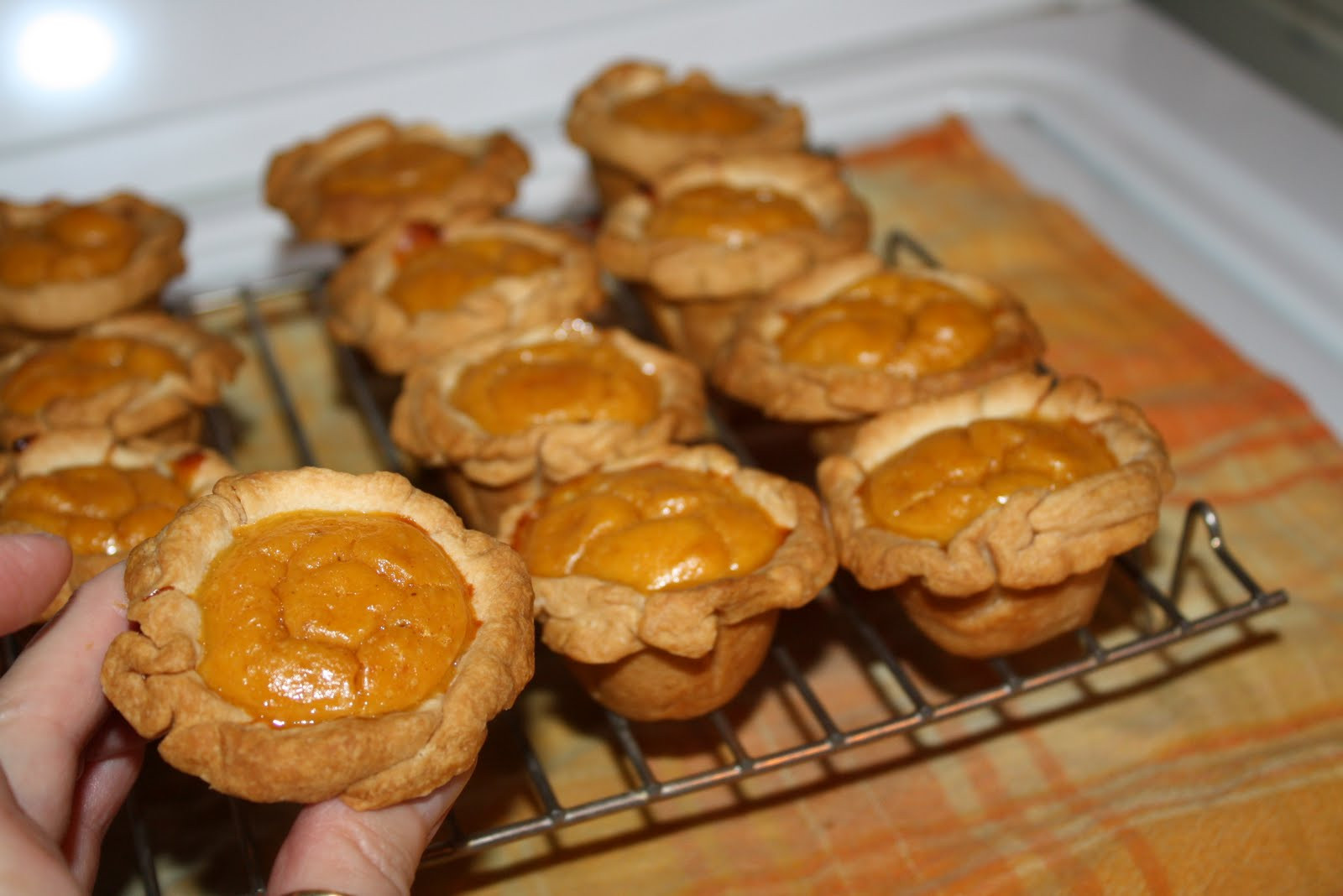 Mini Pie Recipes
 Mini Pumpkin Pies Recipe — Dishmaps