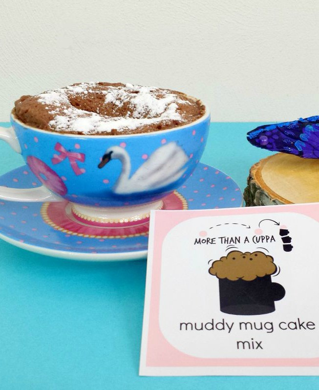 Mug Cake Mix
 Mug cake mix More ts