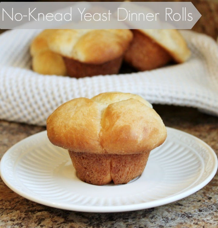 No Yeast Dinner Rolls
 Yeast Dinner Rolls All Things Mamma