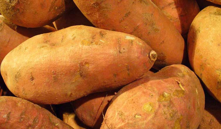 Nutrition Of Sweet Potato
 Sweet Potatoes Nutrition Facts and Health Benefits