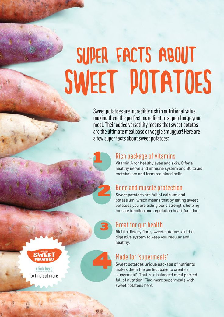 Nutrition Of Sweet Potato
 carbs in pumpkin vs sweet potato