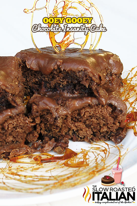 Ooey Gooey Chocolate Cake
 Ooey Gooey Chocolate Insanity Cake