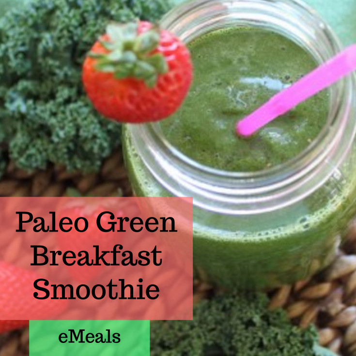 Paleo Breakfast Smoothies
 7 Best Paleo Green Smoothie Recipes And How to Make Them