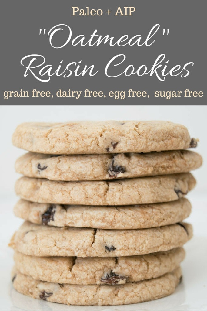 Paleo Oatmeal Cookies
 AIP Oatmeal Raisin Cookies — our grain free life