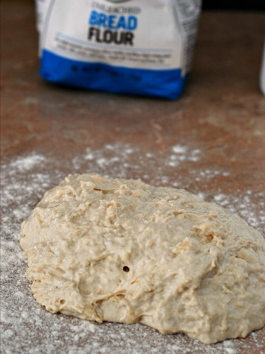 Pizza Dough Recipe By Hand
 Pizza Dough by Hand by TheRedheadBaker