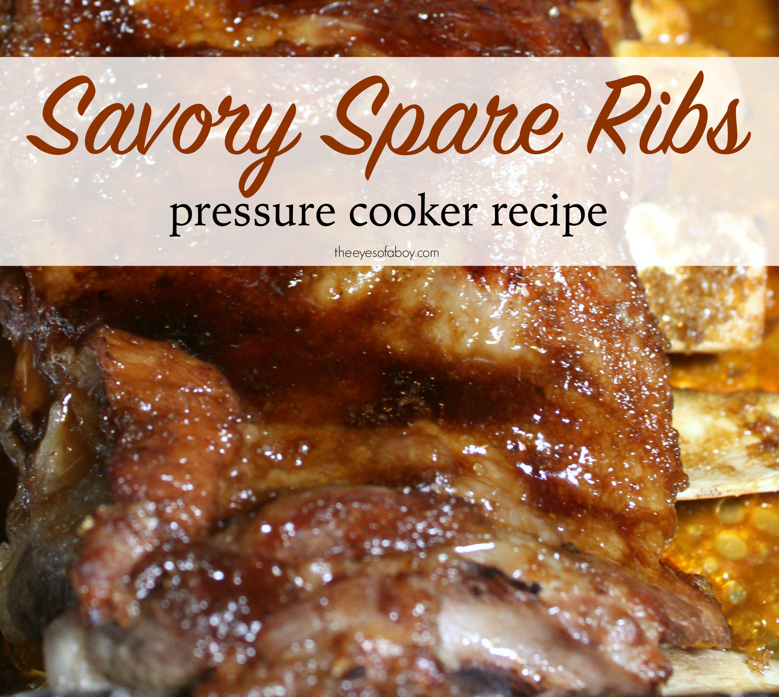 Pork Spare Ribs Recipe
 Savory Spare Ribs Pressure Cooker Recipe The Eyes of a Boy