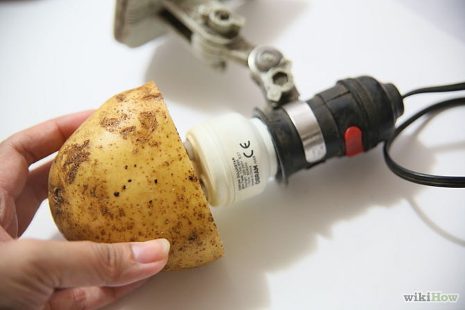 Potato Light Bulb
 12 Crazy But Clever Outside The Kitchen Uses For Potatoes