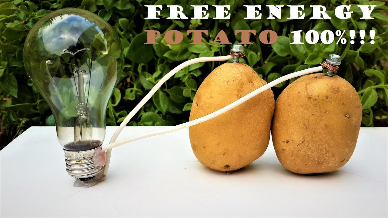 Potato Light Bulb
 Free Energy Light Bulbs 220v using Potato