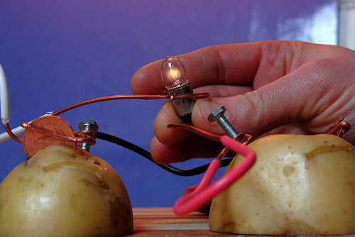 Potato Light Bulb
 Power A Light Bulb With A Potato Amateur Dating