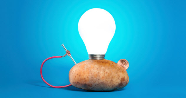 Potato Light Bulb
 10 Weirdest Ways Scientists Are Using Everyday Things
