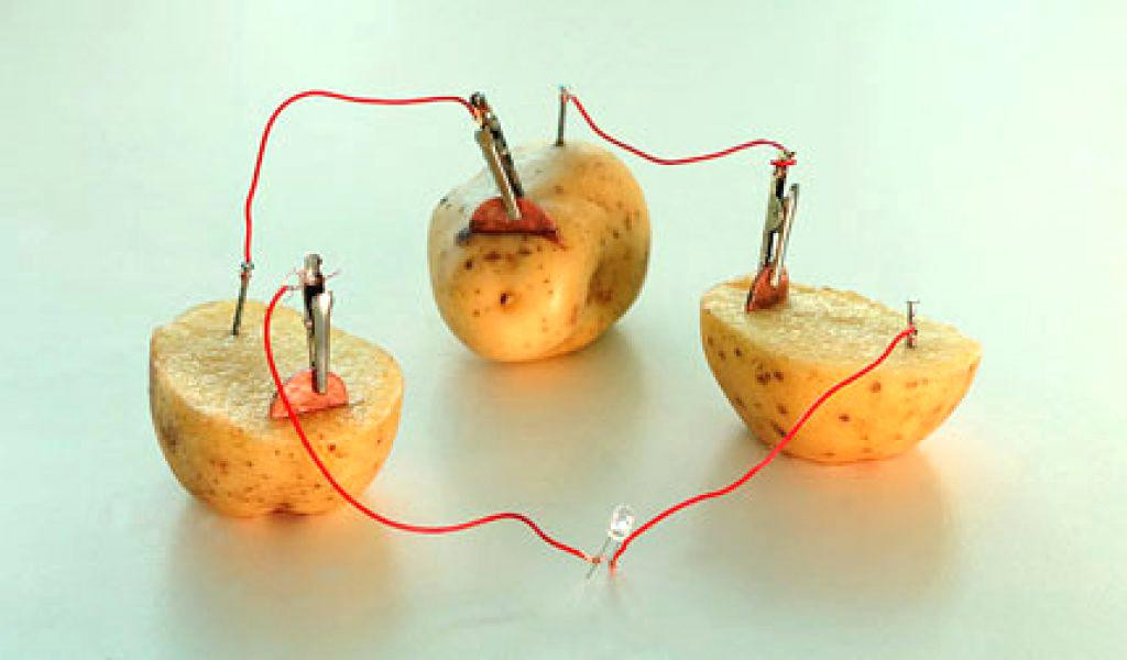Potato Light Bulb
 Potato Light Bulb Potato Light Bulb Lemon Battery