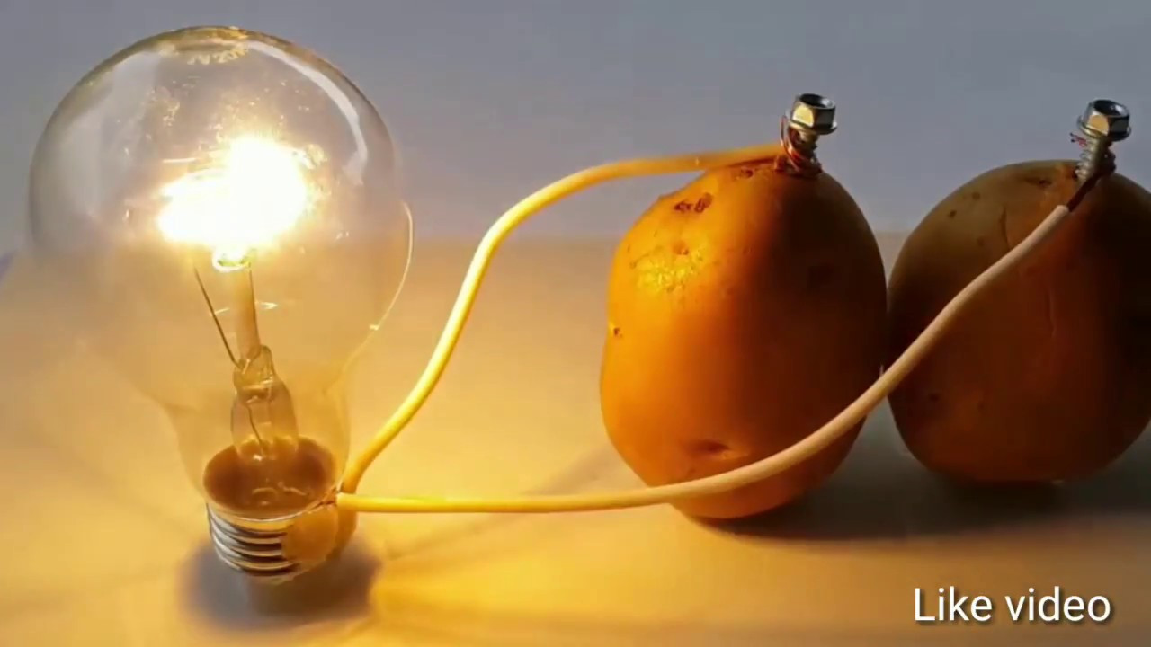 Potato Light Bulb
 Free Energy Light Bulbs ll Free Energy Light Bulbs 220v