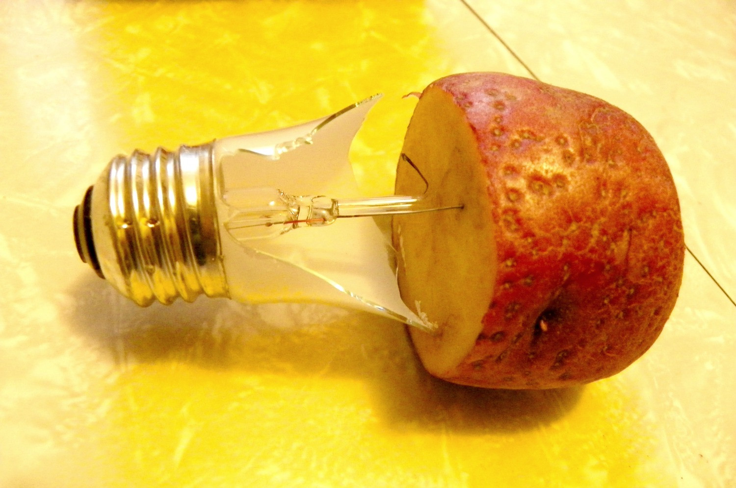 Potato Light Bulb
 The Maker Men