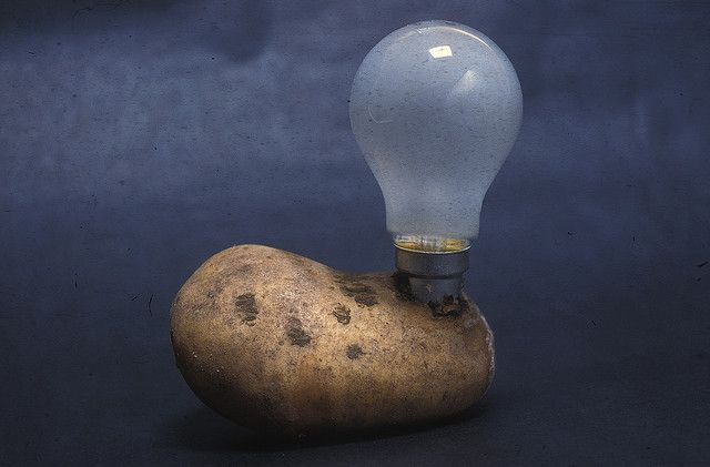 Potato Light Bulb
 23 best Lightbulbs images on Pinterest