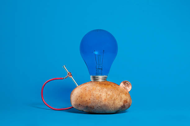 Potato Light Bulb
 potato light bulb