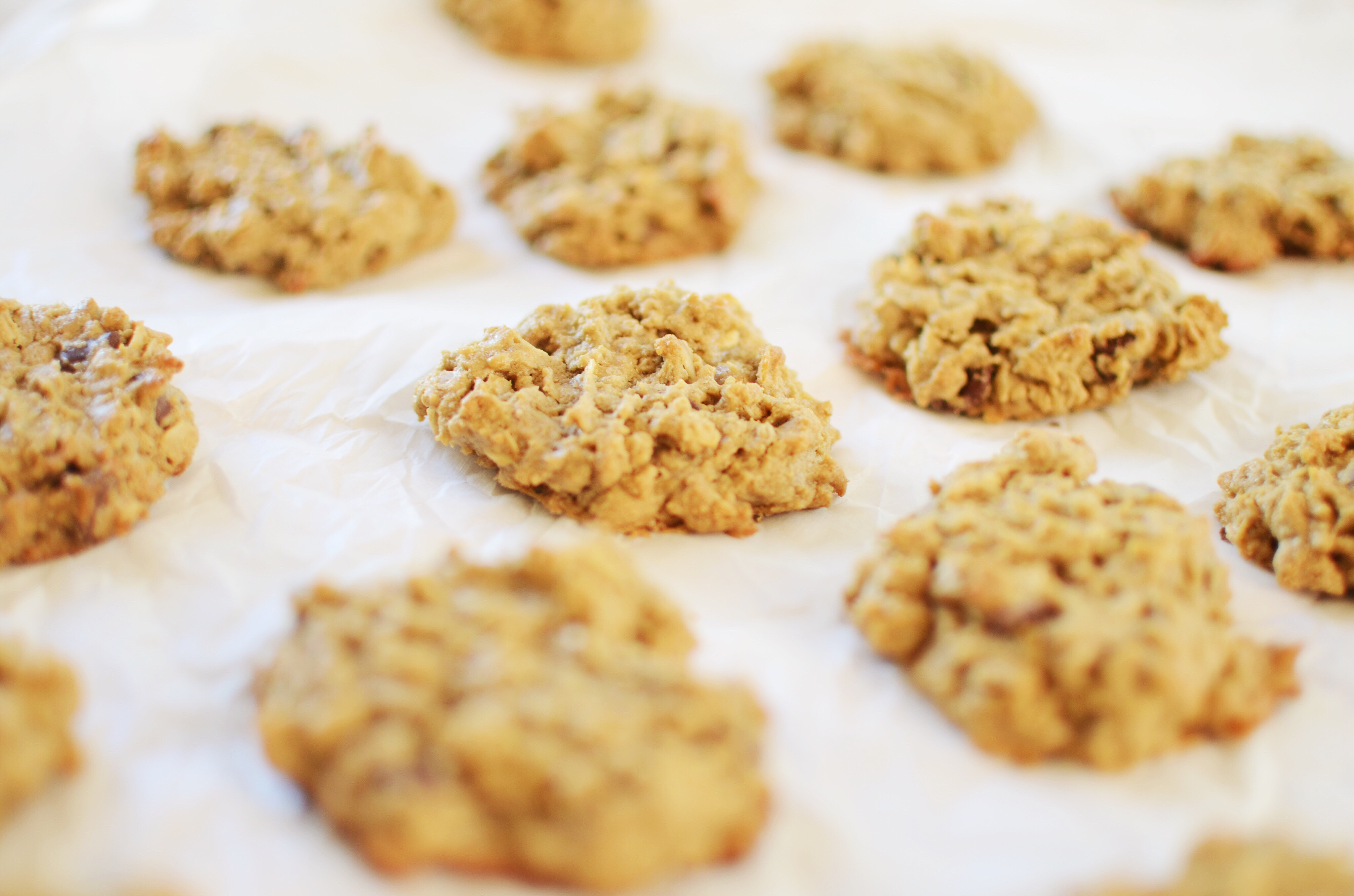 Quick Oatmeal Cookies
 CAKIES