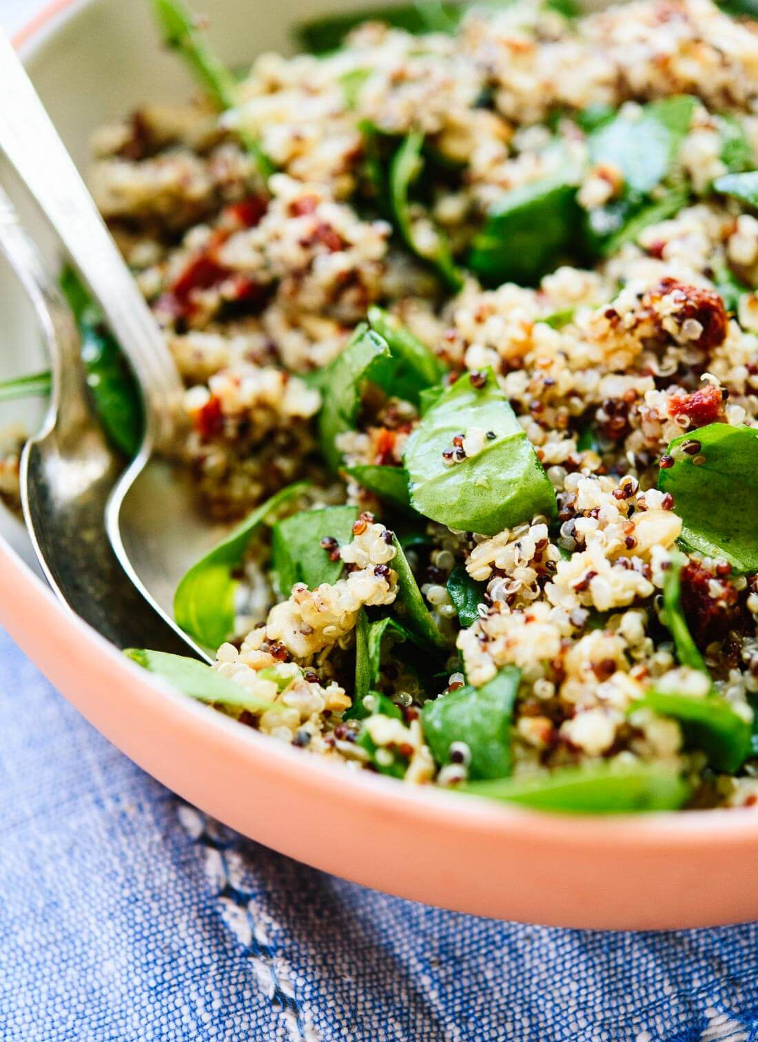 Quinoa Salad Recipes
 Sun Dried Tomato Spinach and Quinoa Salad Cookie and Kate