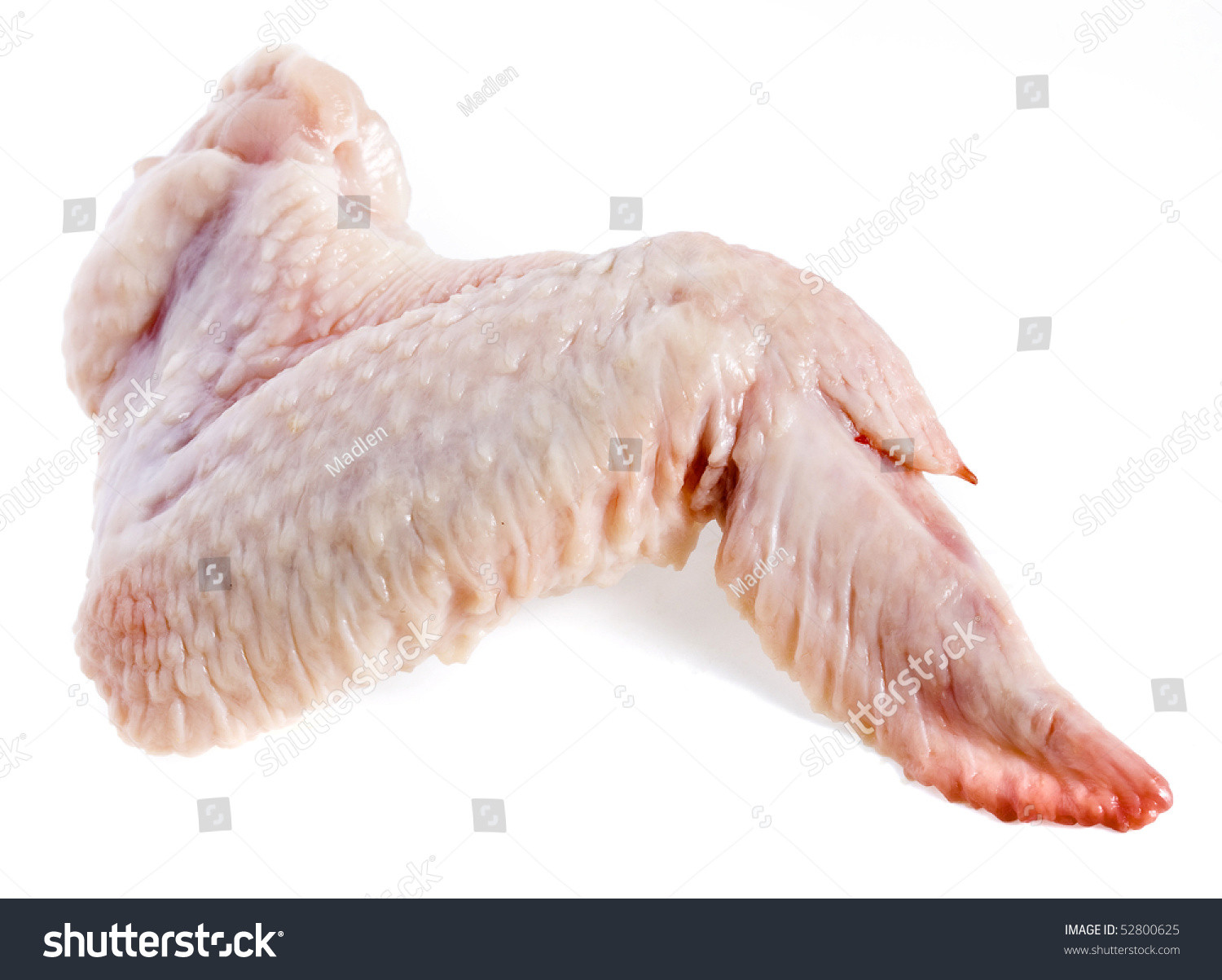 Raw Chicken Wings
 Raw Chicken Wing Isolated White Stock