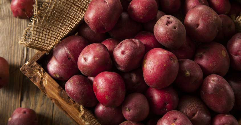 Red Potato Nutrition
 Red Potatoes with Greens Recipe Nutrition Stu s