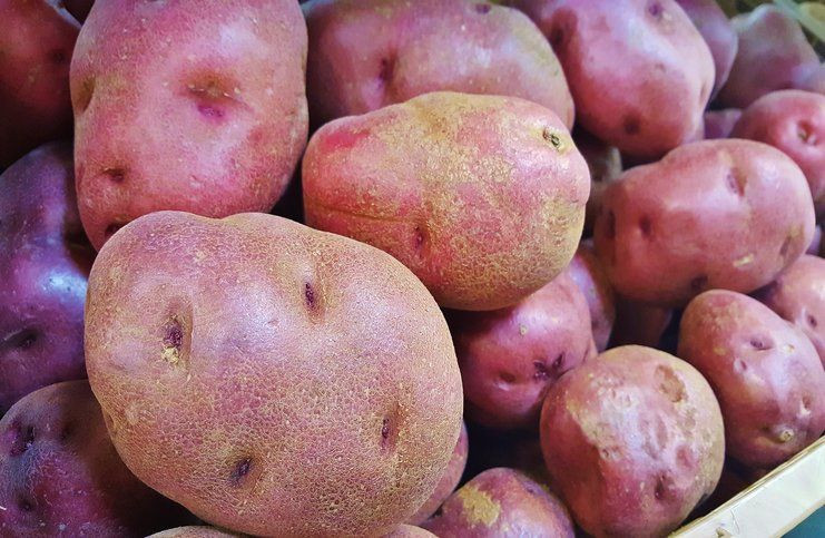 Red Potato Nutrition
 Red Potato – Nutrition Facts Health Benefits Side Effects