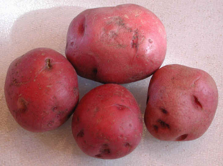 Red Potato Nutrition
 Nutritional Value of Red Skin Potatoes