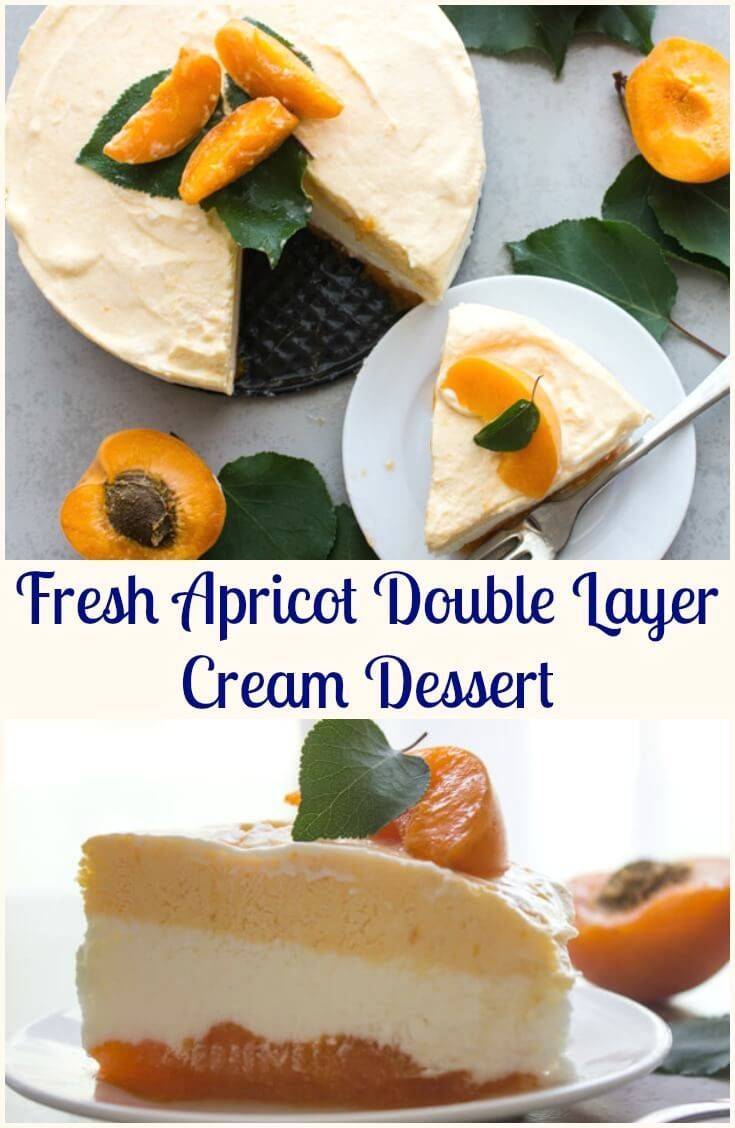 Refreshing Summer Desserts
 Fresh Apricot Double Layer Cream Dessert an easy fresh