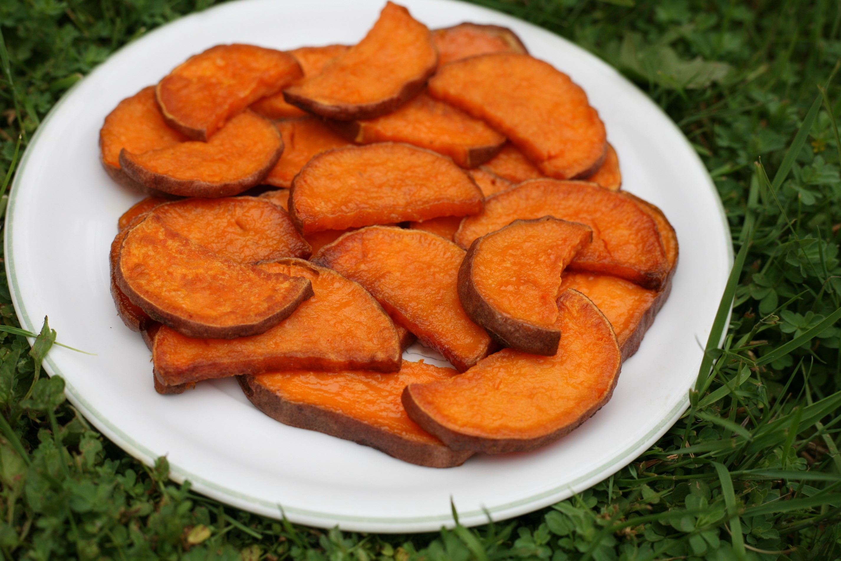 Roasted Sweet Potato Slices
 baked sweet potato slices WoolyMossRoots