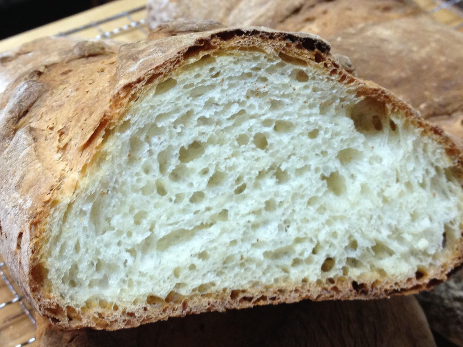 Rustic Italian Bread
 Tracy Cooks in Austin Crusty Rustic Italian Bread