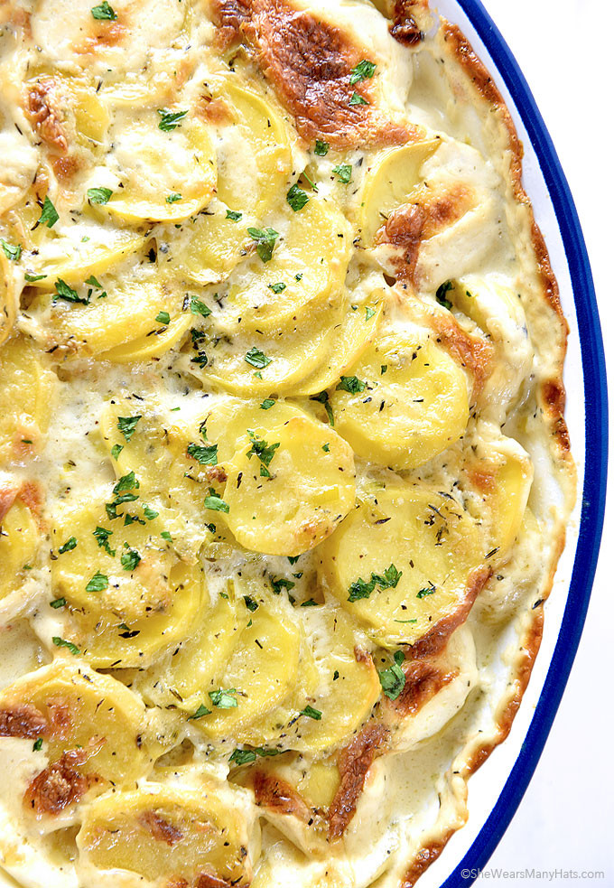 Scalloped Potato Recipe
 Scalloped Potatoes Recipe with Leeks and Thyme