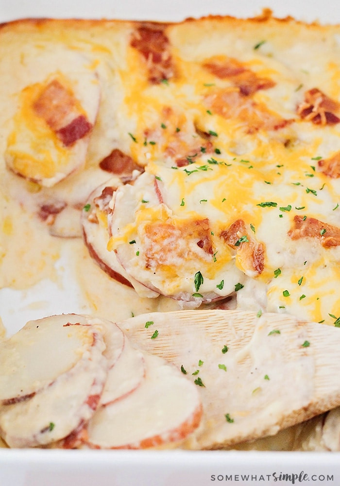 Scalloped Potatoes With Bacon
 The Best Cheddar Bacon Scalloped Potatoes Somewhat Simple