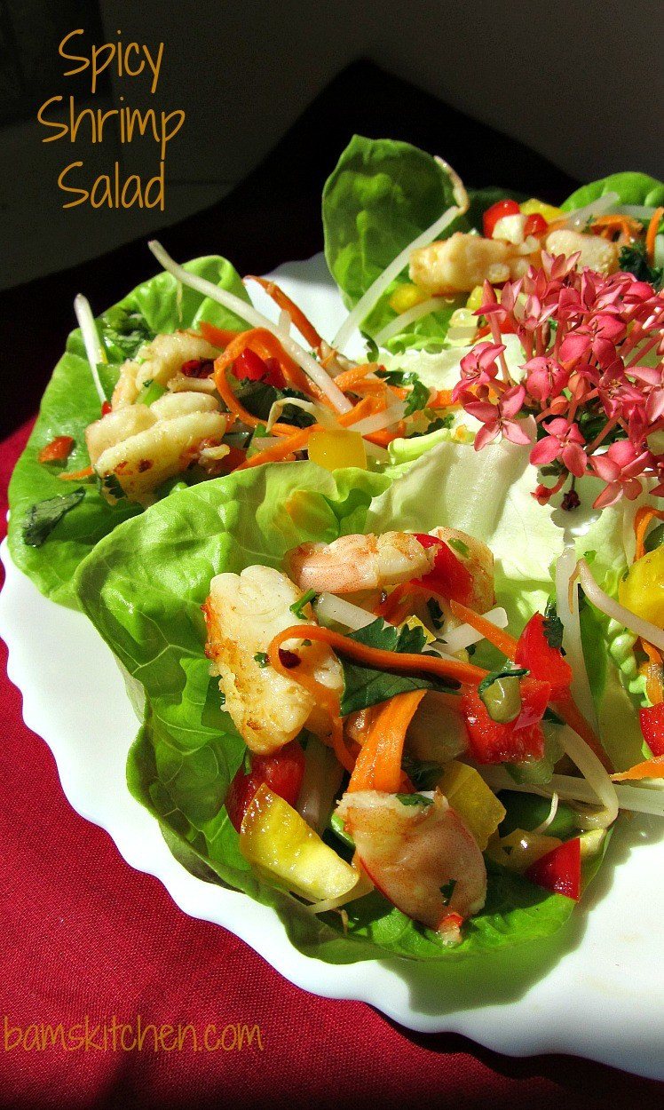 Shrimp Salad Dressings
 Bam s Kitchen Spicy Shrimp Salad with Cilantro Lime