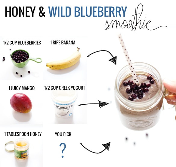 Simple Smoothie Recipes
 Honey and Wild Blueberry Smoothie Recipe Pinch of Yum