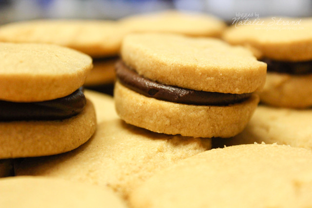 Smitten Kitchen Peanut Butter Cookies
 SK Recipe 19 chocolate peanut butter cookies
