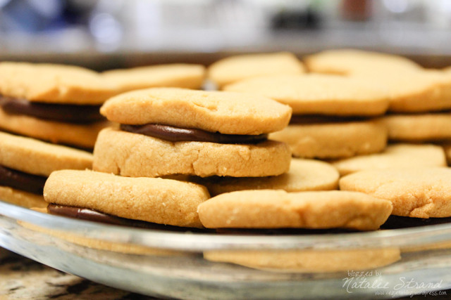 Smitten Kitchen Peanut Butter Cookies
 SK Recipe 19 chocolate peanut butter cookies