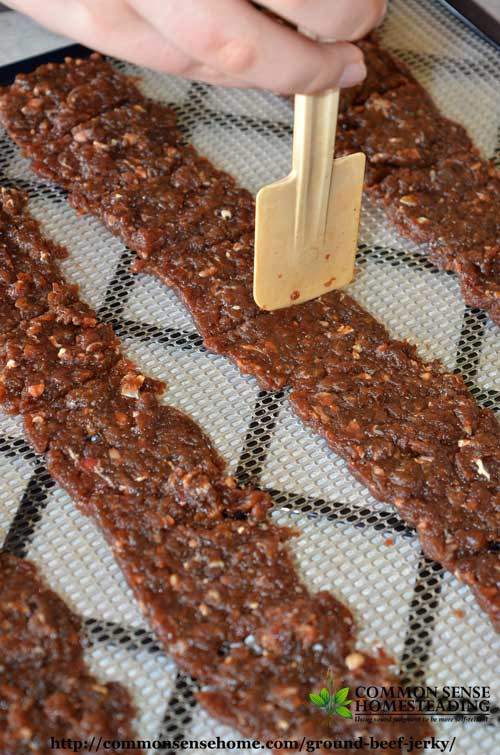 Sodium In Ground Beef
 Bud Friendly Ground Beef Jerky Recipe