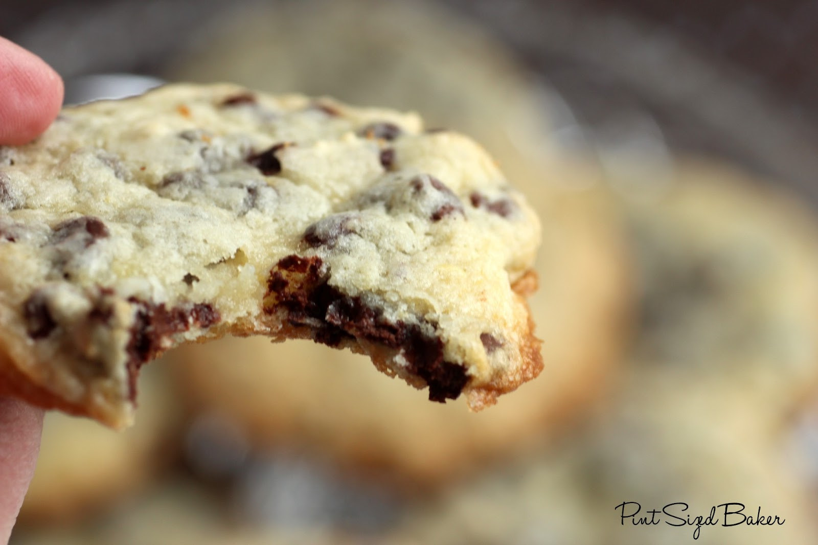 Sour Cream Chocolate Chip Cookies
 Sour Cream Schokoladen Cookies — Rezepte Suchen