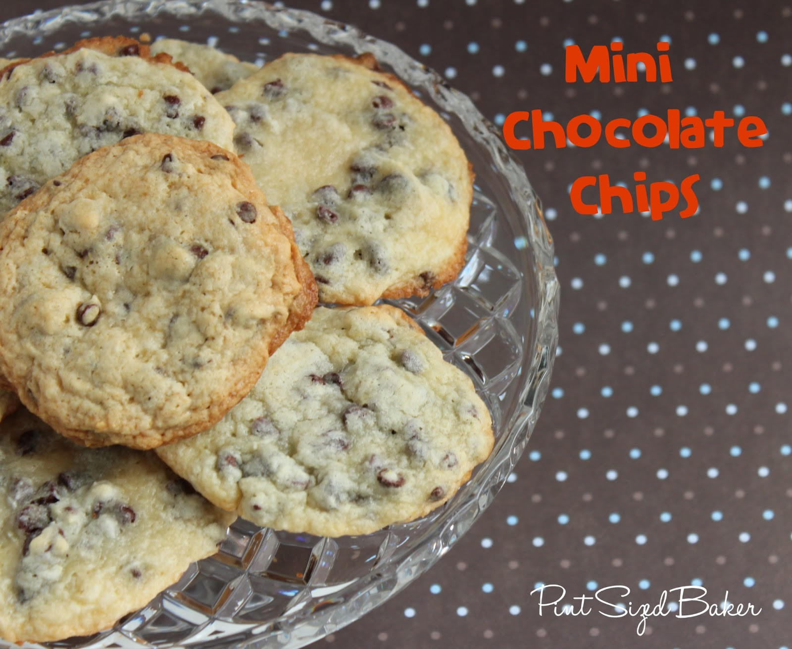 Sour Cream Chocolate Chip Cookies
 Sour Cream Chocolate Chip Cookies Pint Sized Baker