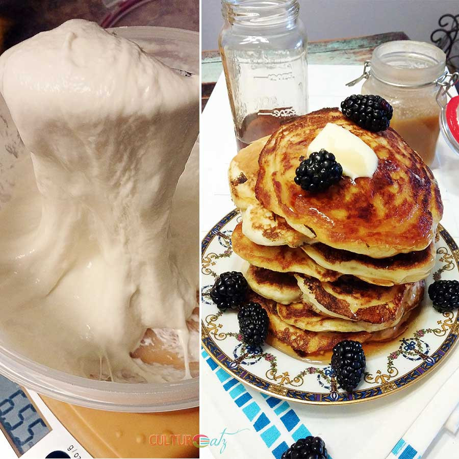 Sourdough Starter Pancakes
 Feed Me Taking Care of your Sourdough Starter plus Egg