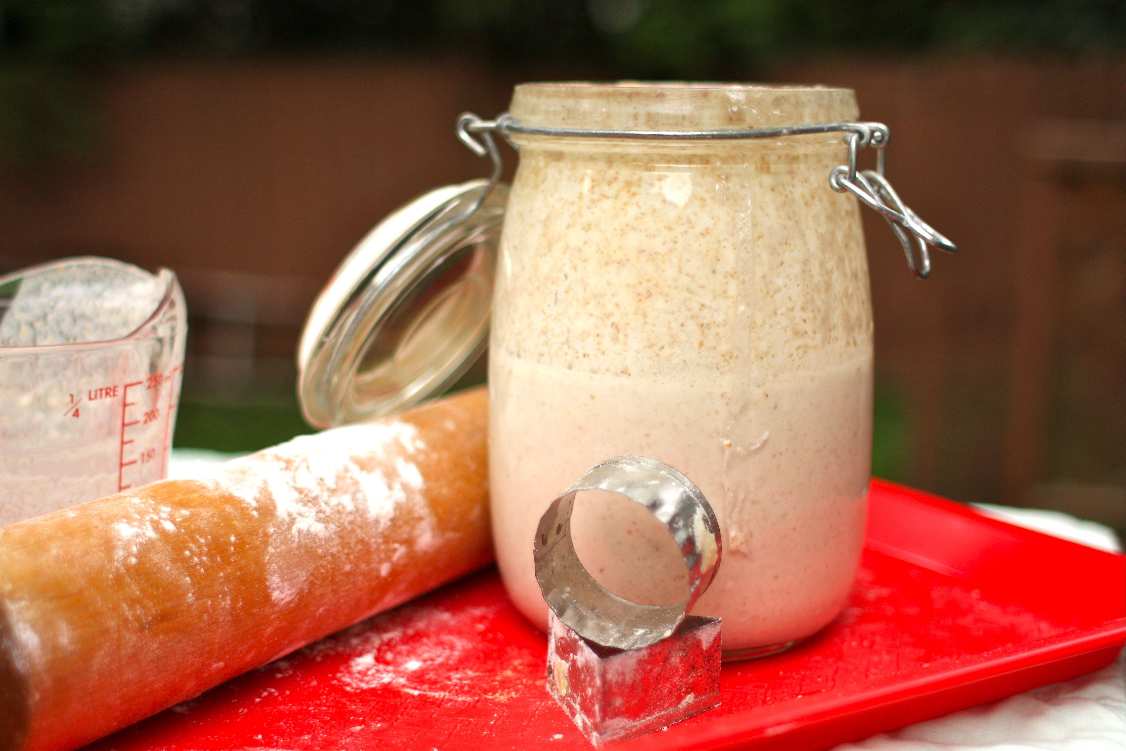 Sourdough Starter Pancakes
 Sourdough for Starters Recipe Lazy Sourdough Apple