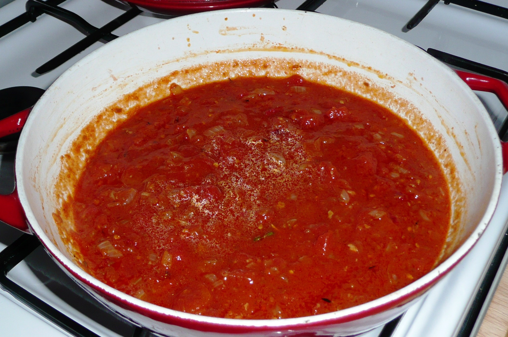 Spicy Tomato Sauce
 spicy spanish tomato sauce