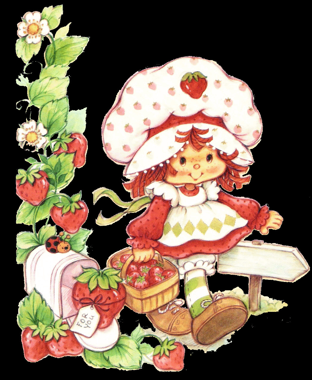 Strawberry Shortcake Cartoon
 Strawberry Inspired